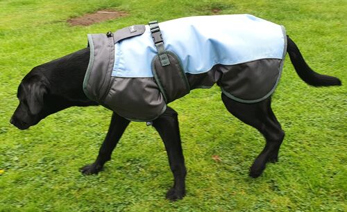 Henry Wag Waterproof Dog Coat , X-Small 35cm