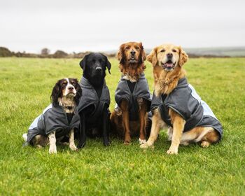 Manteau d'hiver imperméable pour chien Henry Wag, petit 40 cm 2