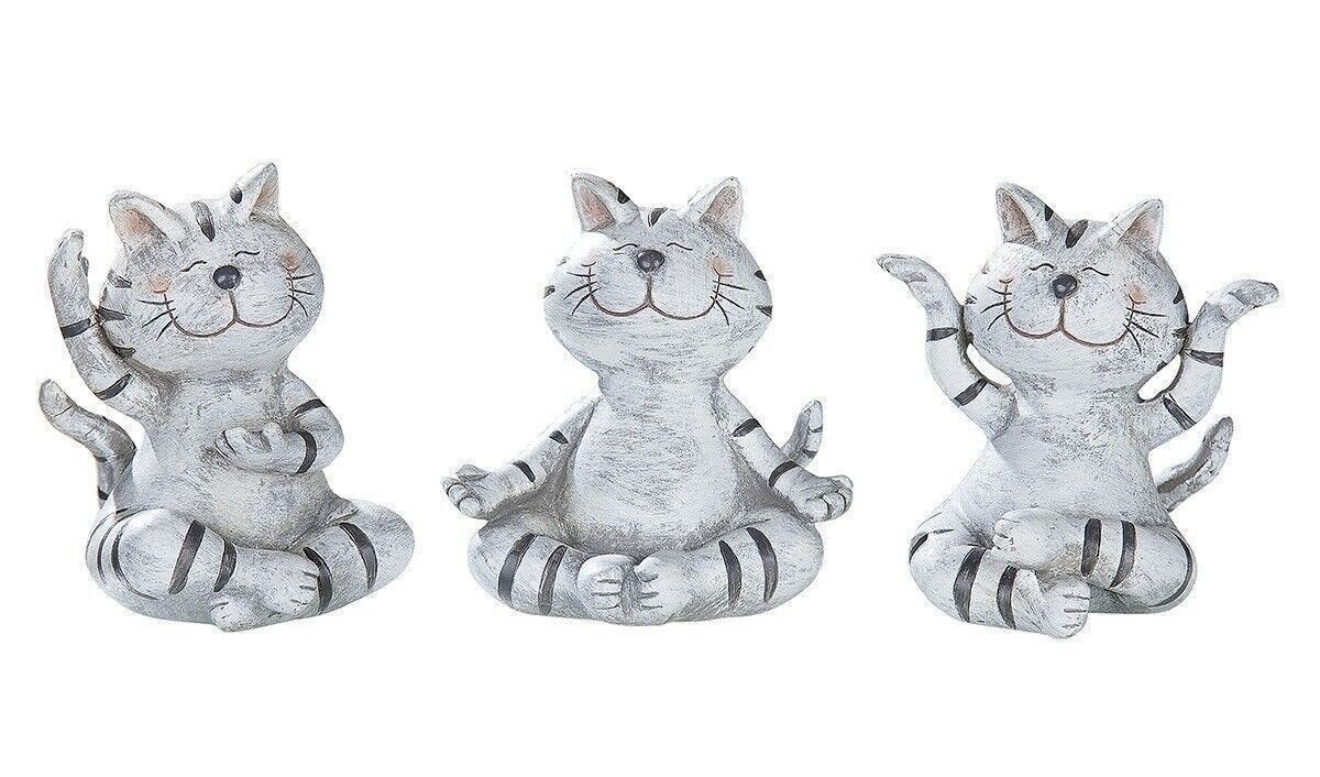 Gattino Poly Yoga VE 6 so398