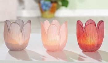 Lanterne en verre "Tulipe" VE 12 so2160 2