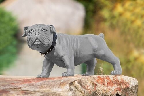 Creasto Hund Bulldogge "Bobby"2397