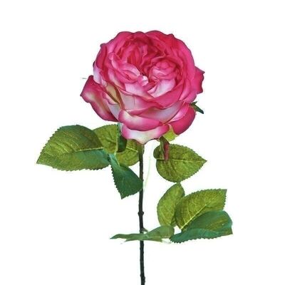 Deco rose "Liz" pink VE 122428