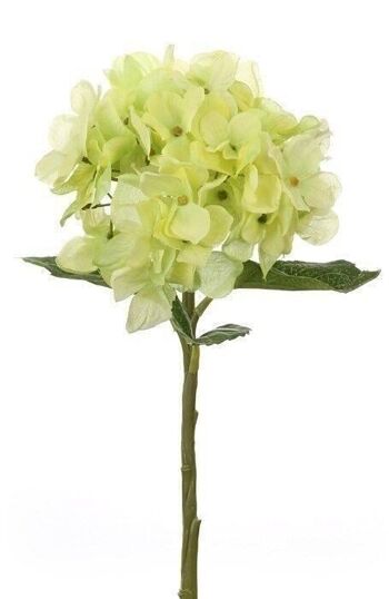 Hortensia décoratif "Emilia" VE 242450
