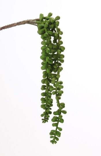 Déco Senecio branche/5hang. vert PU 242515 1