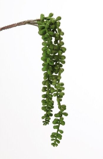 Déco Senecio branche/5hang. vert PU 242515 2