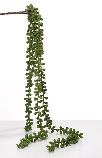 Déco Senecio branche/5hang. vert PU 122516 3