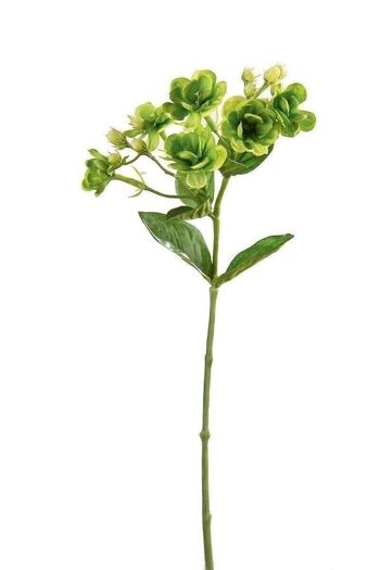 Déco branche fleurie "Jasmin" vert VE 122613 1