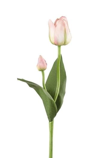 Tulipe déco "Smally" rose VE 122617 1