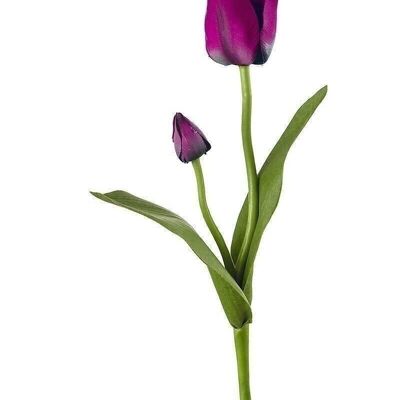 Tulipano decorativo "Smally" bordeaux VE 122619