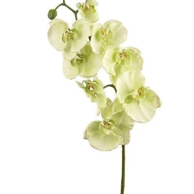 Orchidée déco/RealTouch vert clair VE 62635