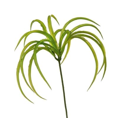 Arbusto de hierba decorativa/verde colgante VE 242639