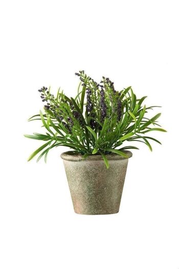 Déco lavande/pot lilas VE 62645 1