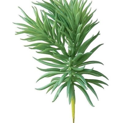 Succulenta decorativa "Spiky" verde chiaro VE 62646