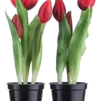 Deco tulip/rosso vaso/Realtouch Ve 6 so2652