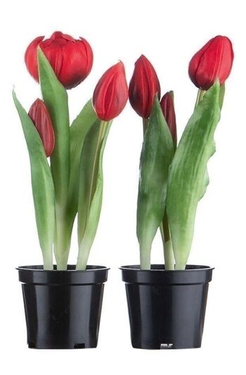Déco tulipe/pot rouge/Realtouch Ve 6 so2652 1