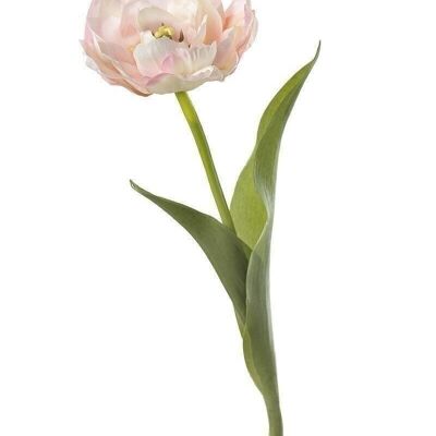 Tulipe déco "Franco" rose VE 122670