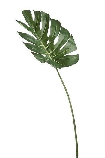 Feuille déco "Philodendron" vert VE 122700 2