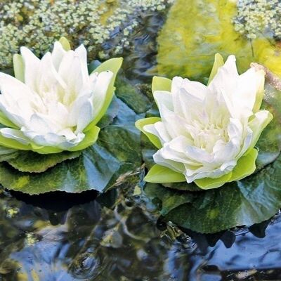 Deco lotus/leaf/float. white PU 62780