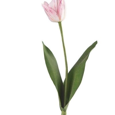 Decorative tulip "Lara" white-pink VE 122793