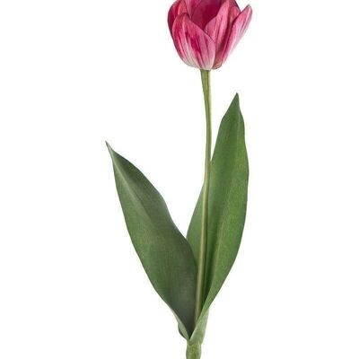 Tulipano decorativo "Lara" bianco-rosa VE 122794