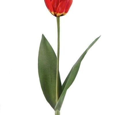 Deco tulip "Lara" red-yellow VE 122795