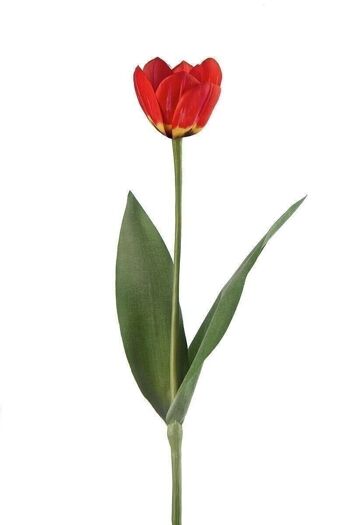 Tulipe déco "Lara" rouge-jaune VE 122795 1