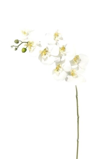 Orchidée décorative "Sophia" blanc VE 62808 2