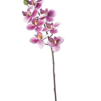Orchidée déco/7"Sophie" magenta VE 122810