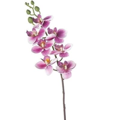 Deko Orchidee/7"Sophie" magenta VE 122810