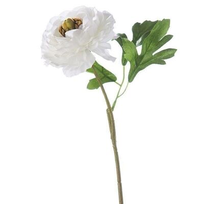 Deco Ranunculus "Mini" bianco VE 242826