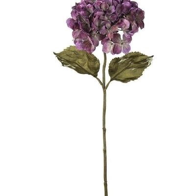 Hortensia decorativa "Amelie" violeta VE 62846