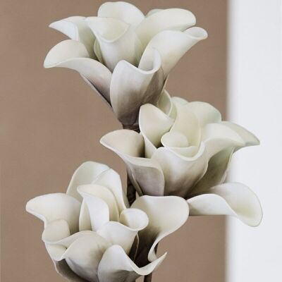 Fleur en mousse "Rumba" blanc/taupe VE 83553