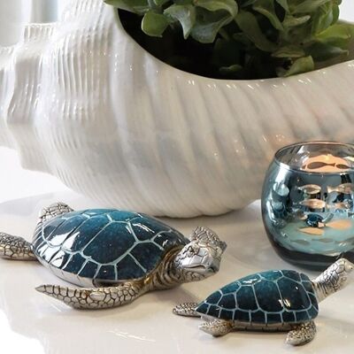 Turtle"Josie"poly, blue/silver VE 84155