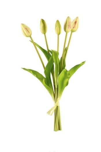 Lot décoratif/5 boutons de tulipes VE 64934 1