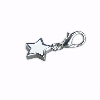 White star charm