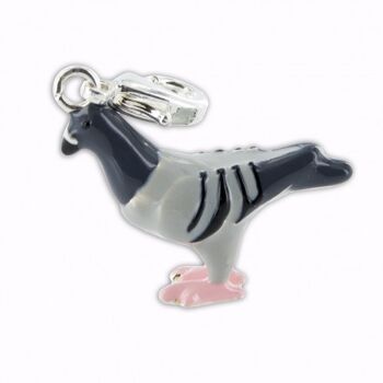 Charm Pigeon 1