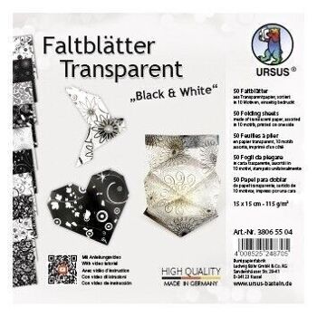 Dépliants Transparents "Noir & Blanc" 6