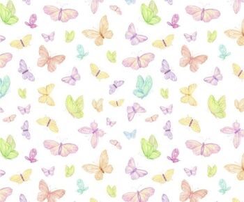 Carton photo motif "Papillons", 49,5 x 68 cm 3