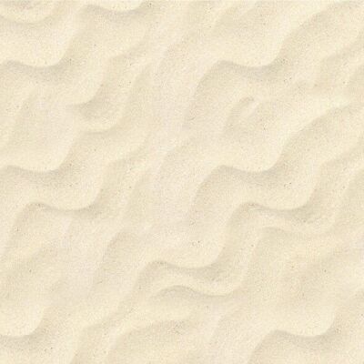 Carton photo motif "Plage de sable", 49,5 x 68 cm