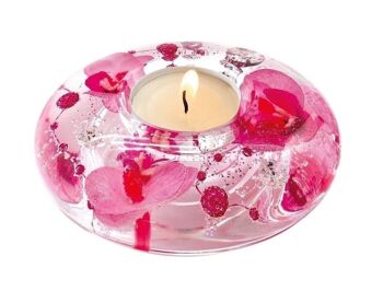 Dream Ufo Mini Orchidée Rose VE 6571 1