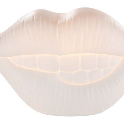 Porcelain lamp mouth 794