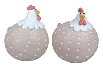 Poulet poly "Herta" VE 4 so907 4