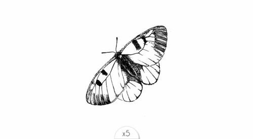 Tatouage éphémère : Papillon noir