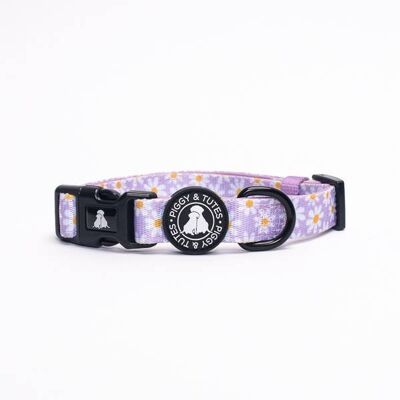 Crazy Daisy Collar