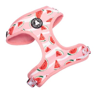 Feeling Fruity Dog Harness