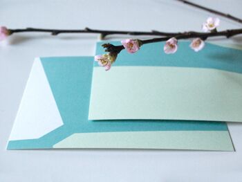 Fleurs de printemps • Ensemble de cartes postales 3