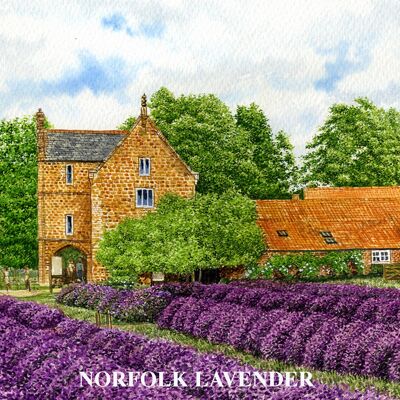 Untersetzer, Norfolk-Lavendel, Heacham. Norfolk.