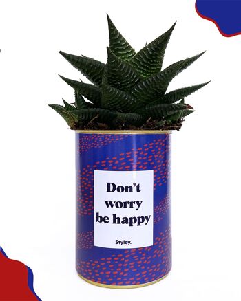 Cactus - Don't worry be happy 2