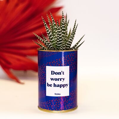 Cactus - No te preocupes se feliz