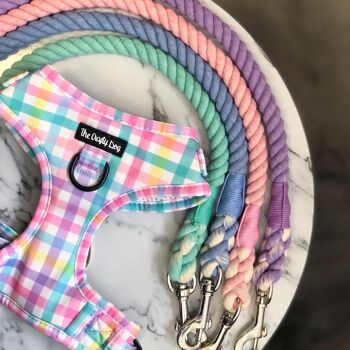 Picnic Plaid BUNDLE : harnais, collier, laisse, PBH + nœud papillon 2